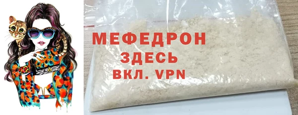 индика Ельня