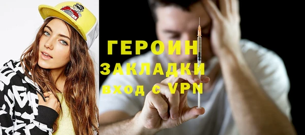 индика Ельня