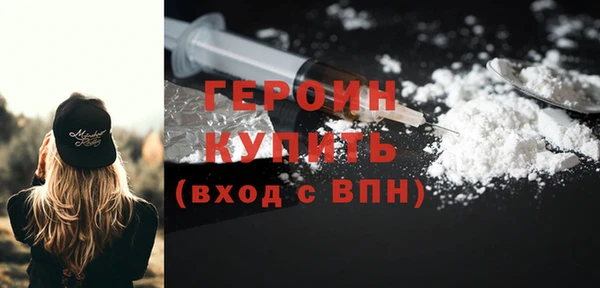 индика Ельня