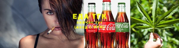 индика Ельня