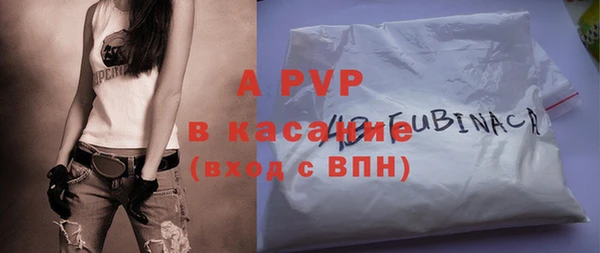 индика Дмитровск