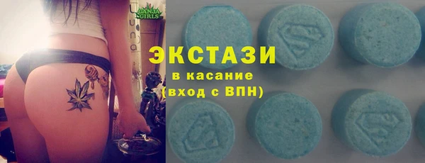 индика Ельня