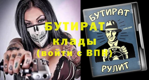 индика Ельня