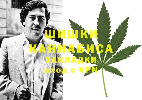 дурь Елабуга