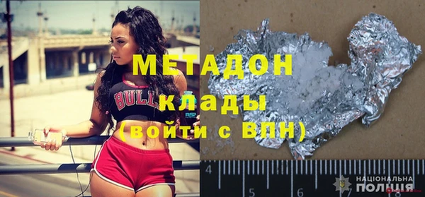 индика Ельня