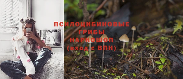 дурь Елабуга