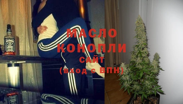 индика Ельня