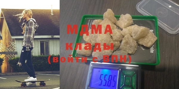 индика Ельня
