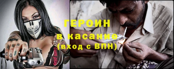 индика Ельня