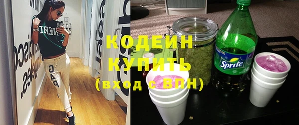 индика Ельня