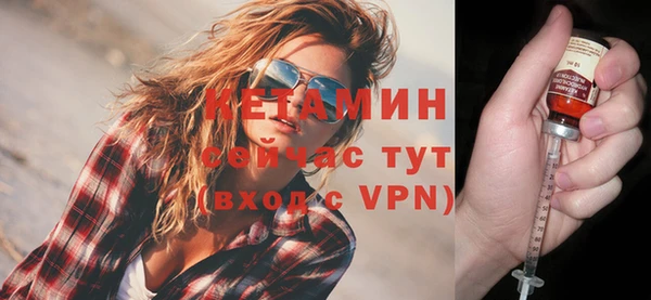 индика Ельня