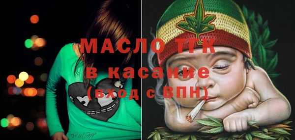 индика Ельня