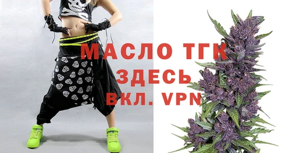 индика Ельня