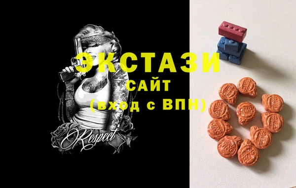 индика Ельня
