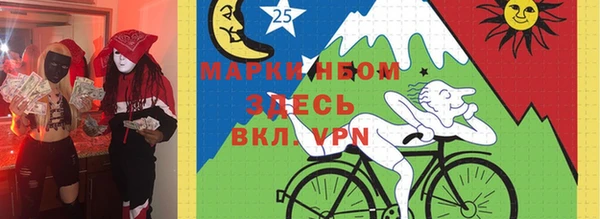 индика Ельня