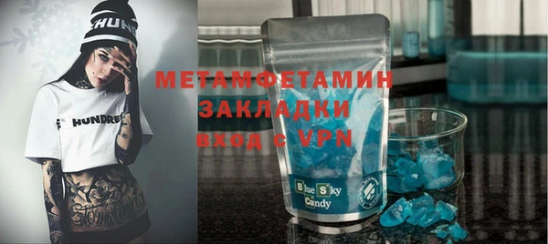индика Ельня