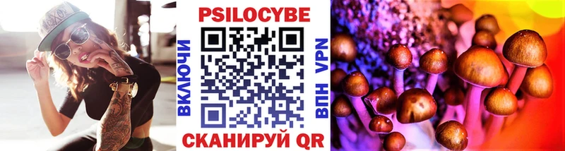Купить где  Любим  Псилоцибиновые грибы Magic Shrooms 