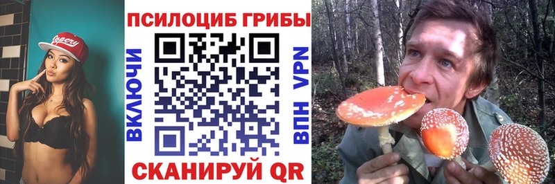 Псилоцибиновые грибы GOLDEN TEACHER Любим